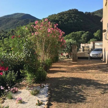 Bel Appartement Type F3 Amelie-les-Bains-Palalda Exterior photo