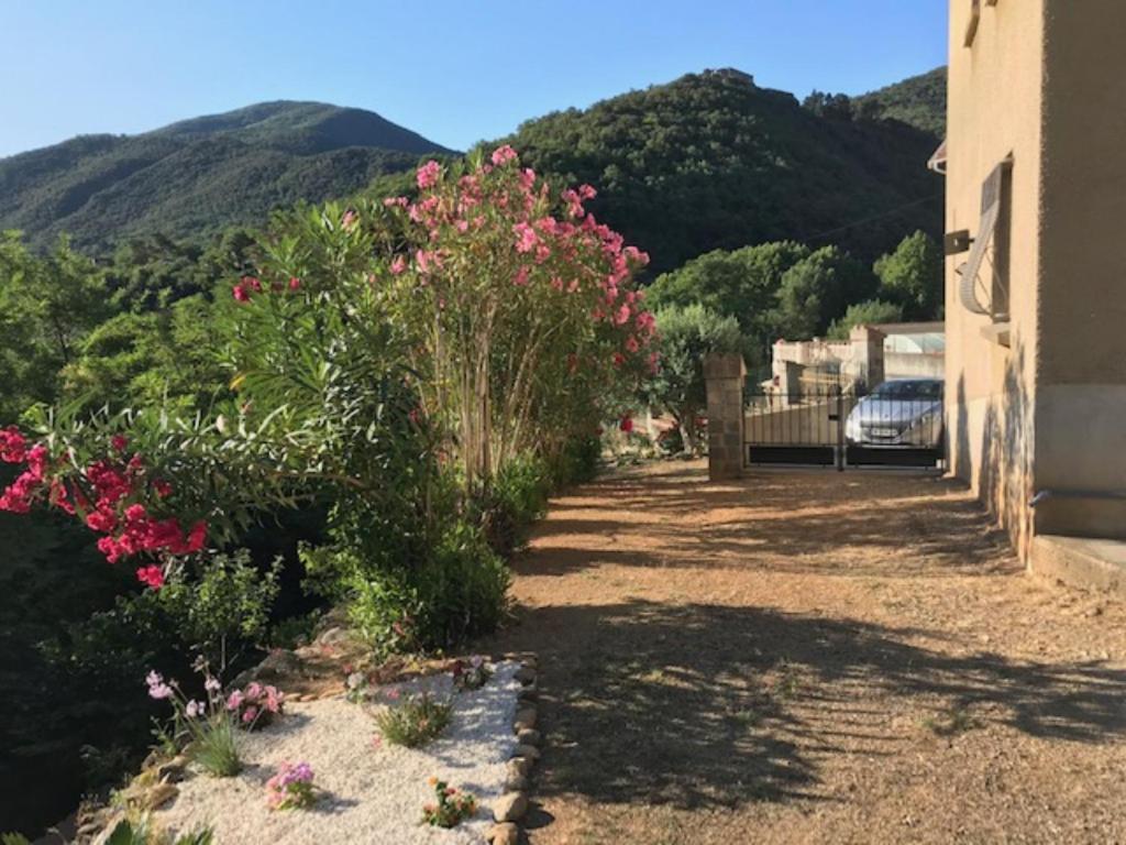 Bel Appartement Type F3 Amelie-les-Bains-Palalda Exterior photo